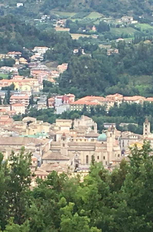 L'Acerba B&B Ascoli Piceno Exteriér fotografie